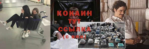 прущий лед Заводоуковск