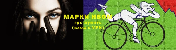прущий лед Заводоуковск