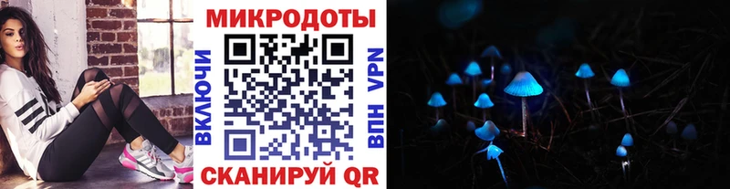 Псилоцибиновые грибы Psilocybine cubensis Майкоп